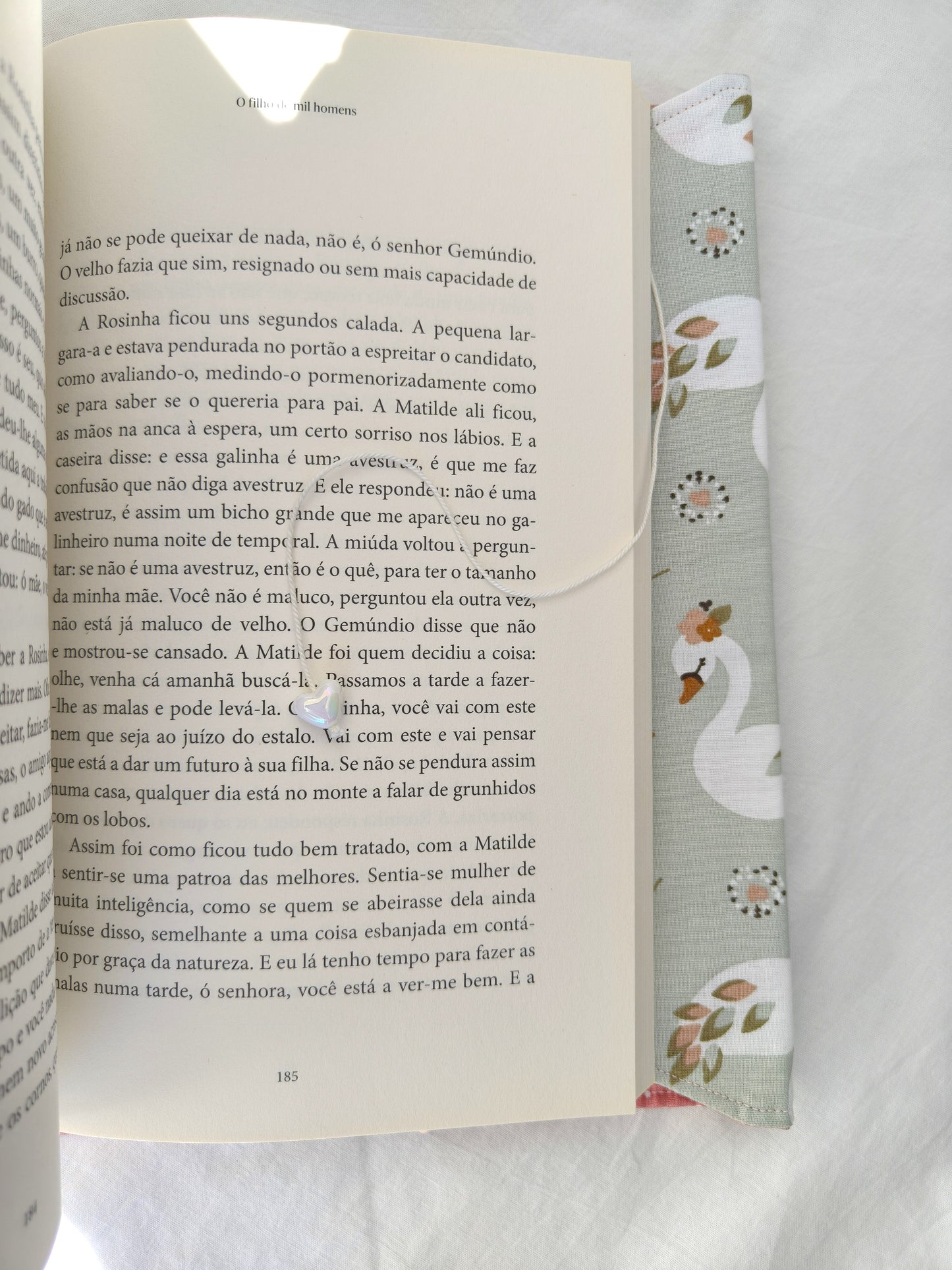 Capa Livro Cisne