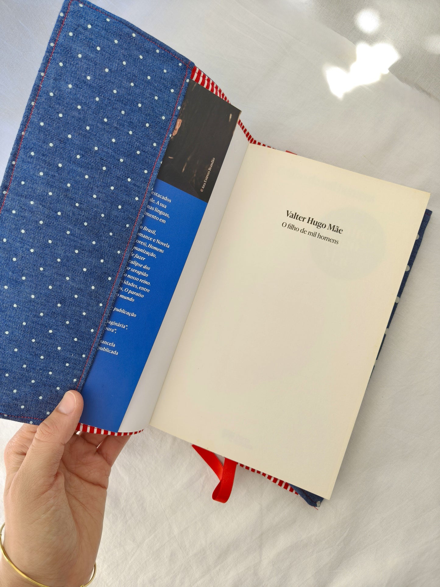 Capa Livro Bolinhas