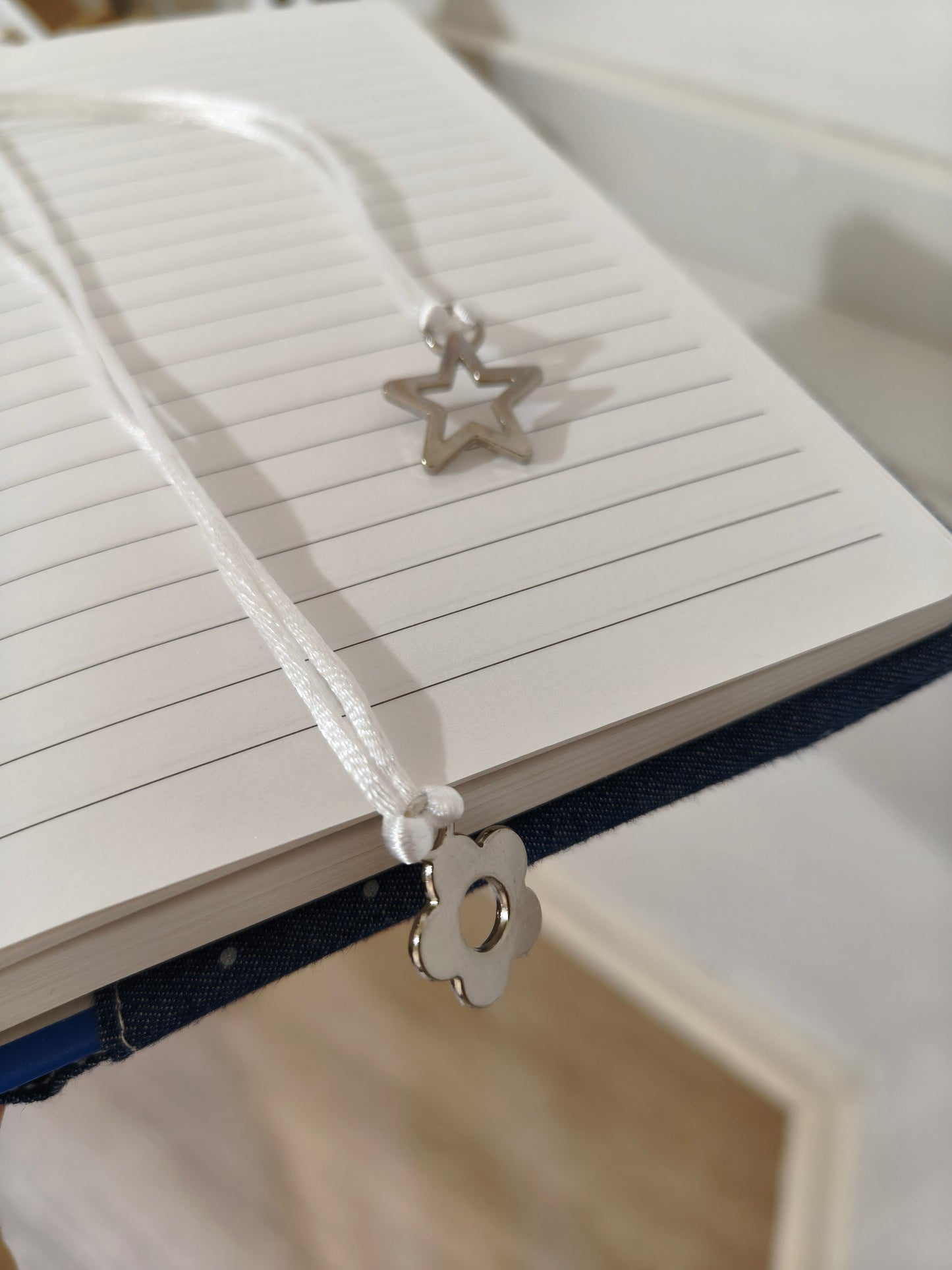 Caderno Pintas